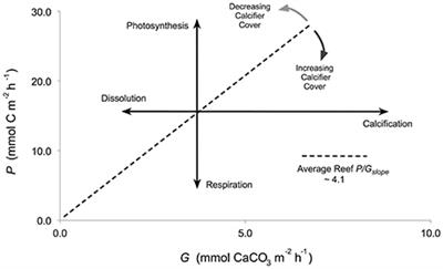 Organisms Composing an Experimental Coral Reef Community from Mo'orea, French Polynesia, Exhibit Taxon-Specific Net Production: Net Calcification Ratios